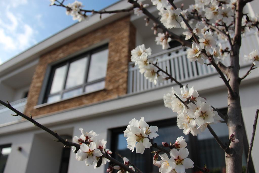 Haus Renee Bed & Breakfast Podersdorf am See Exterior foto